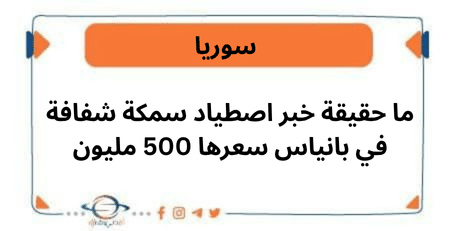 ما حقيقة خبر اصطياد سمكة شفافة في بانياس سعرها 500 مليون