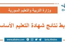 رابط نتائج شهادة التعليم الأساسي