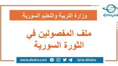 الملف الخاص بعودة المفصولين بسبب مشاركتهم بالثورة السورية