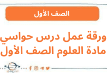 ورقة عمل درس حواسي مادة العلوم الصف الأول