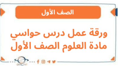 ورقة عمل درس حواسي مادة العلوم الصف الأول